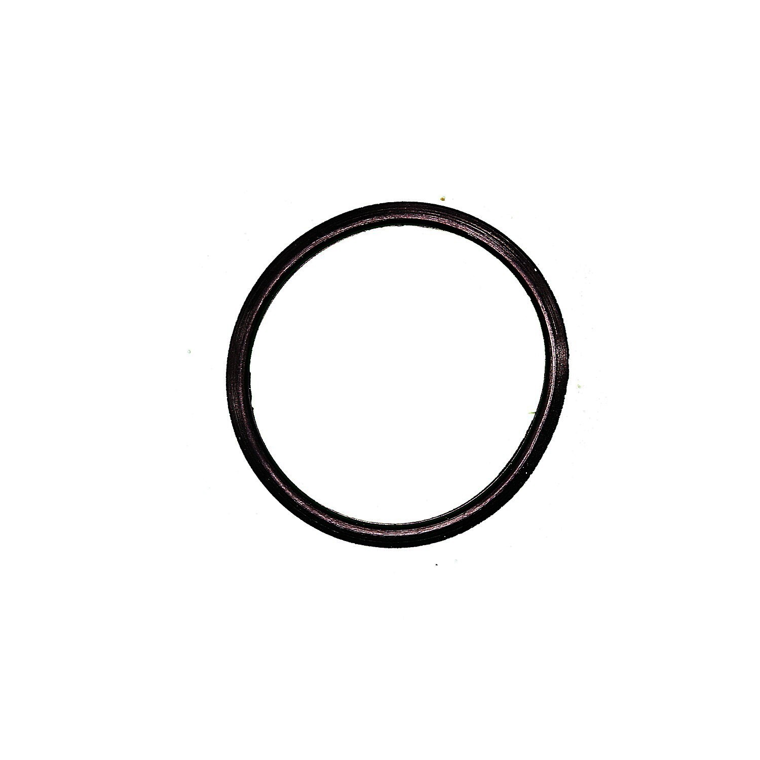 Thermostat Seal