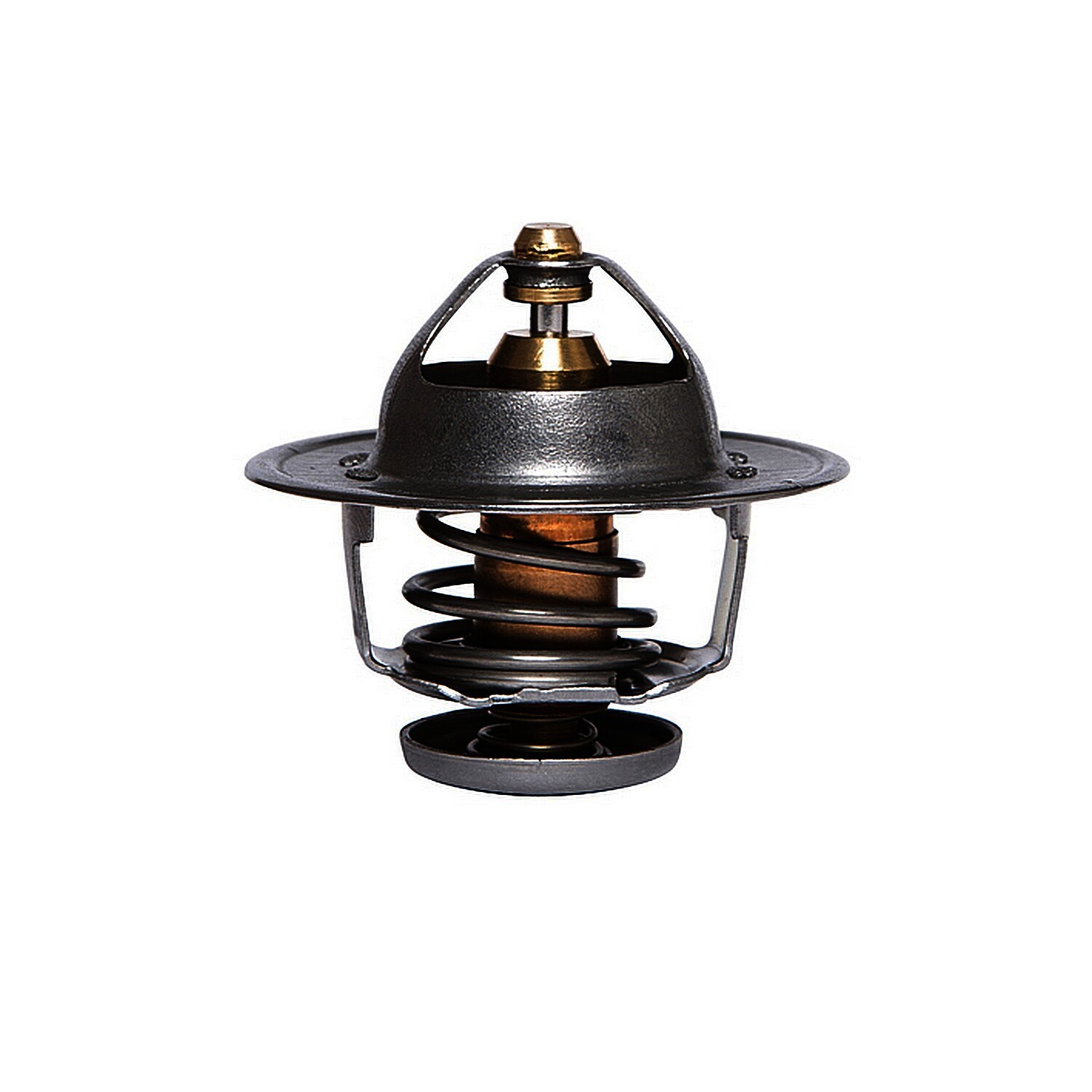 Engine Coolant Thermostat