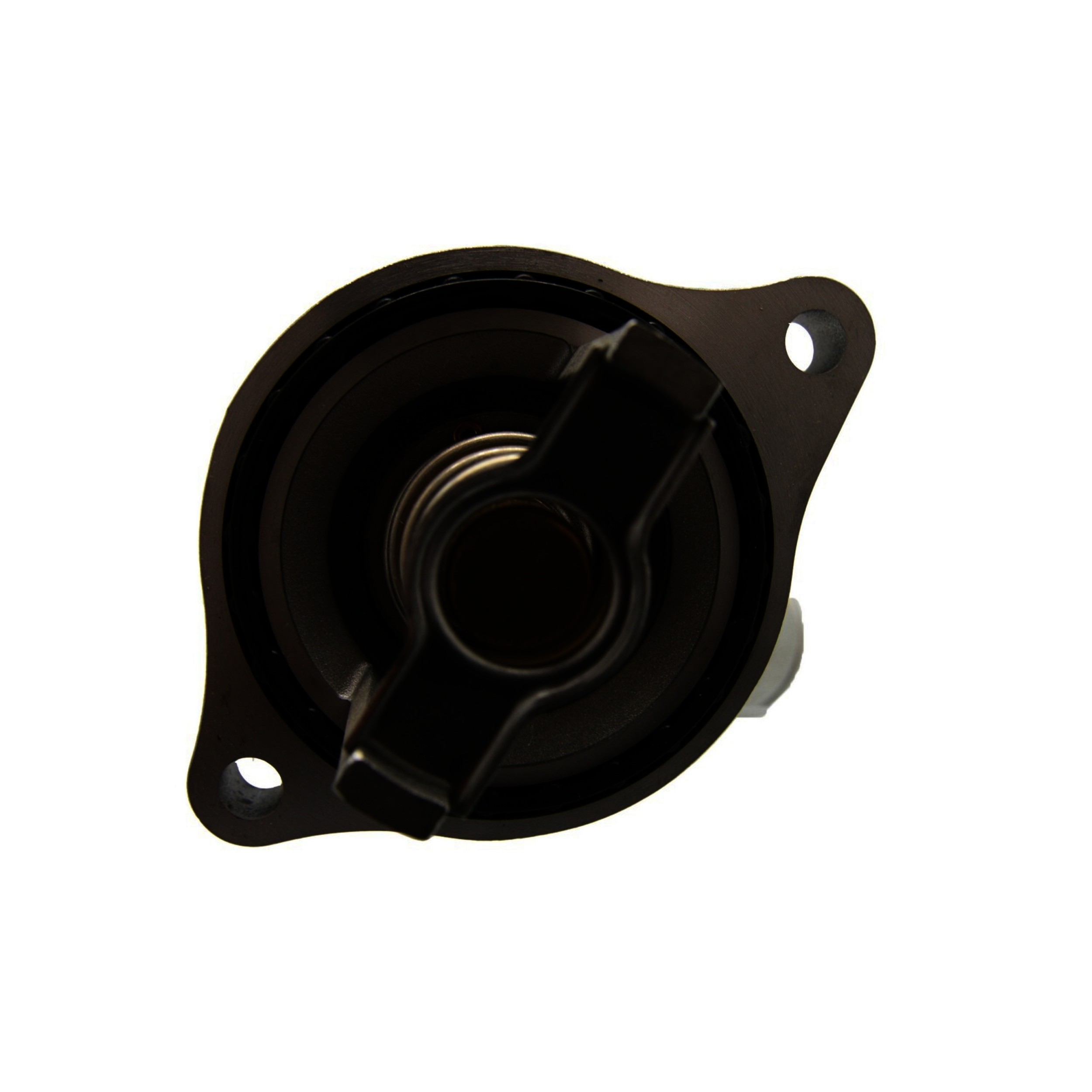 Engine Coolant Thermostat