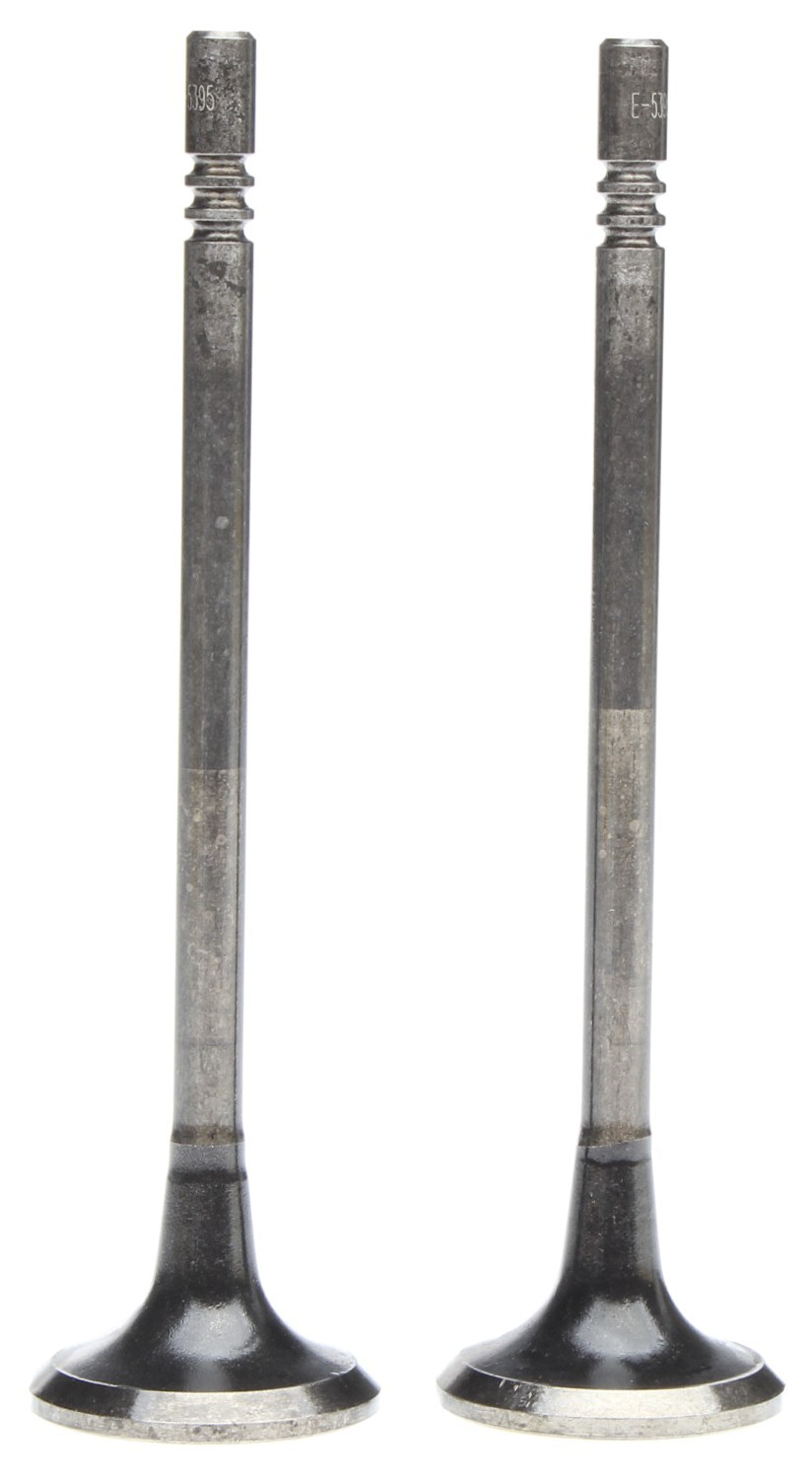 Engine Exhaust Valve