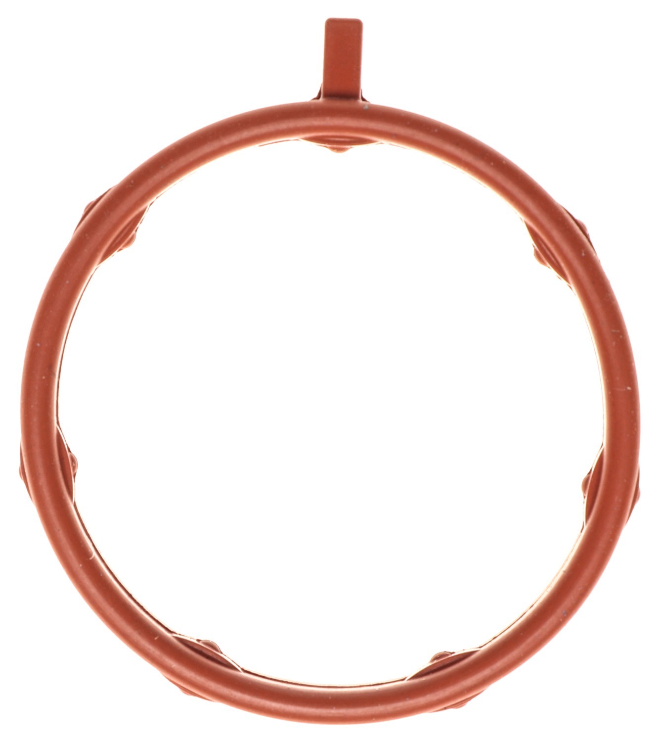 Exhaust Gas Recirculation (EGR) Cooler Gasket