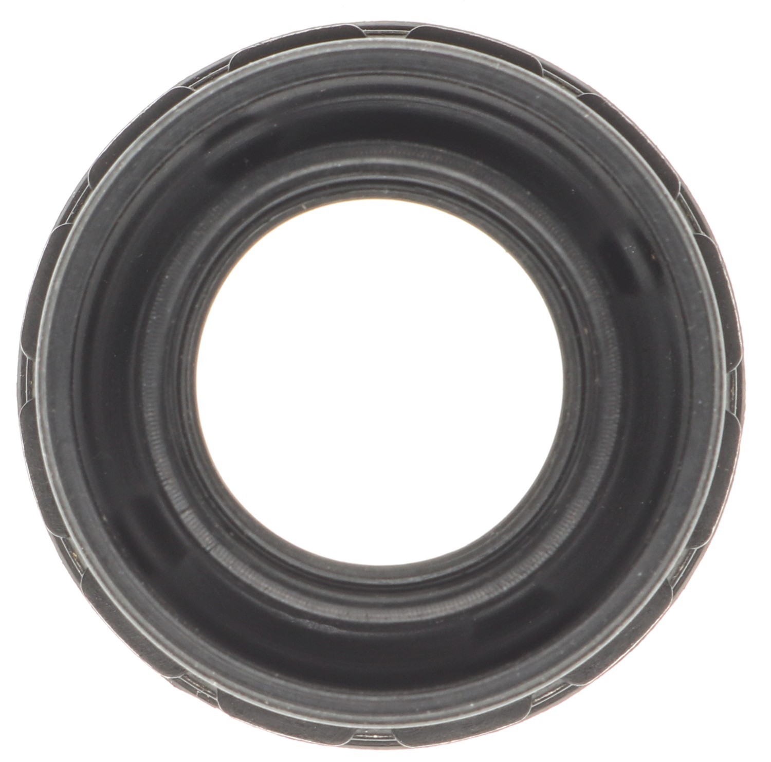 Fuel Injector Seal Kit