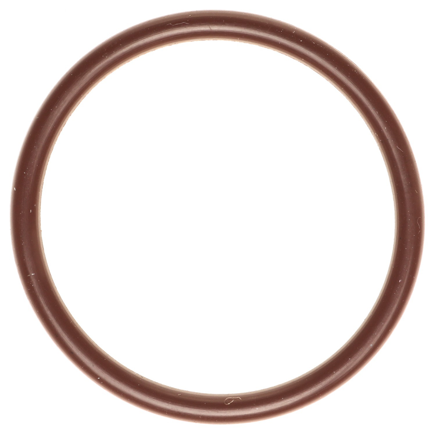 Fuel Pump Gasket