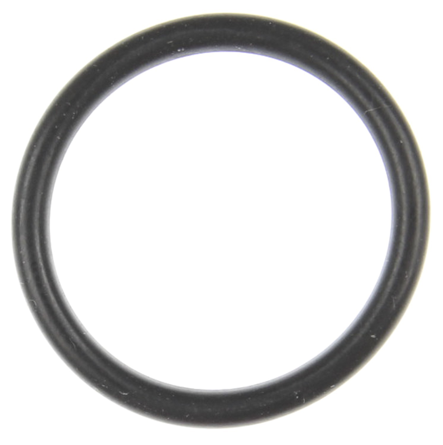 Fuel Injection Throttle Body O-Ring