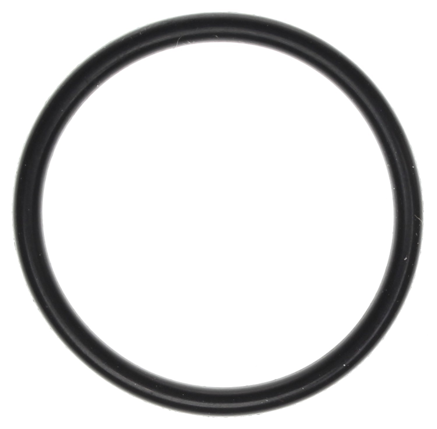 Fuel Injection Throttle Body O-Ring