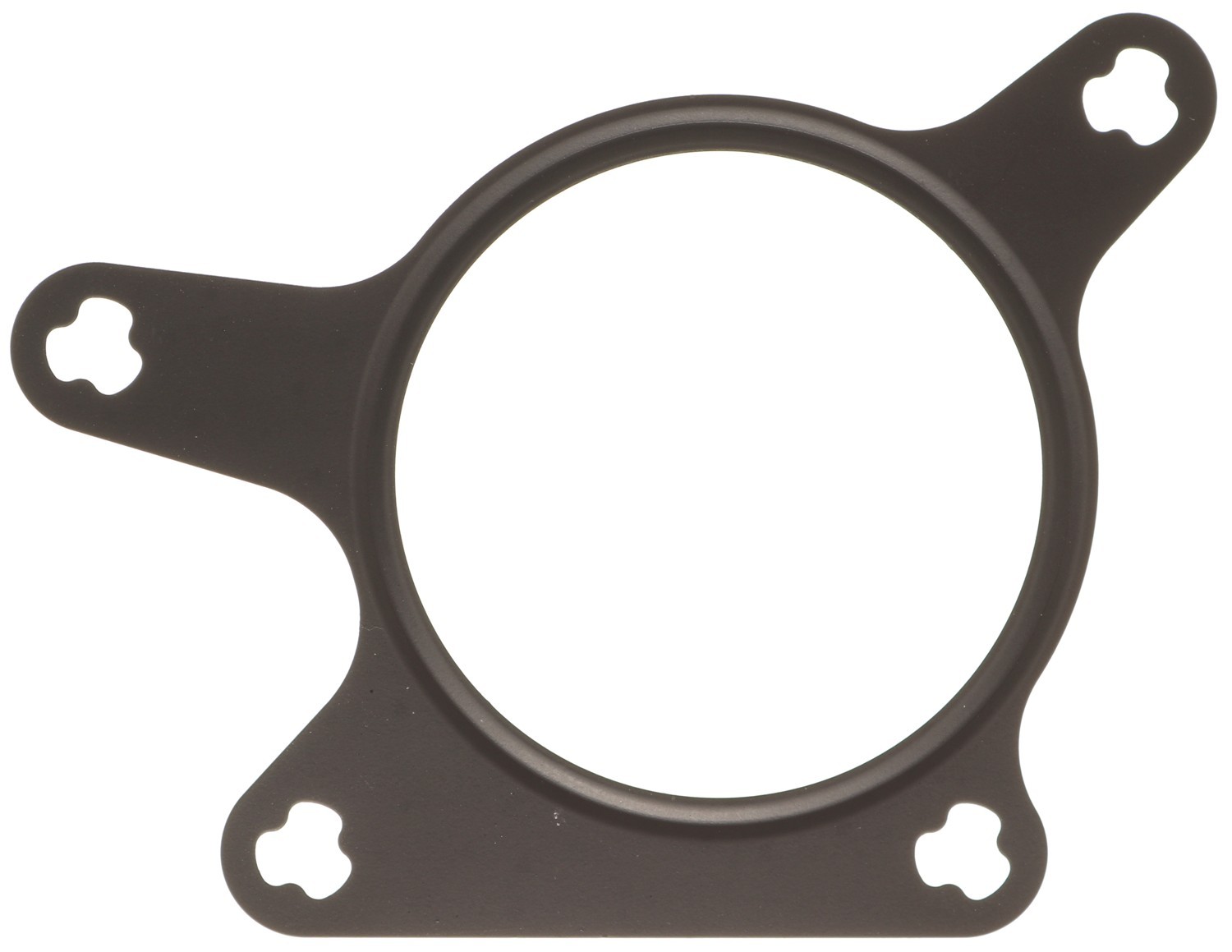 EGR Valve Gasket