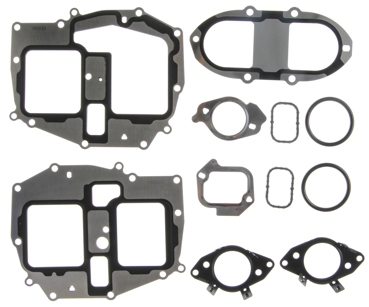 EGR Cooler Gasket