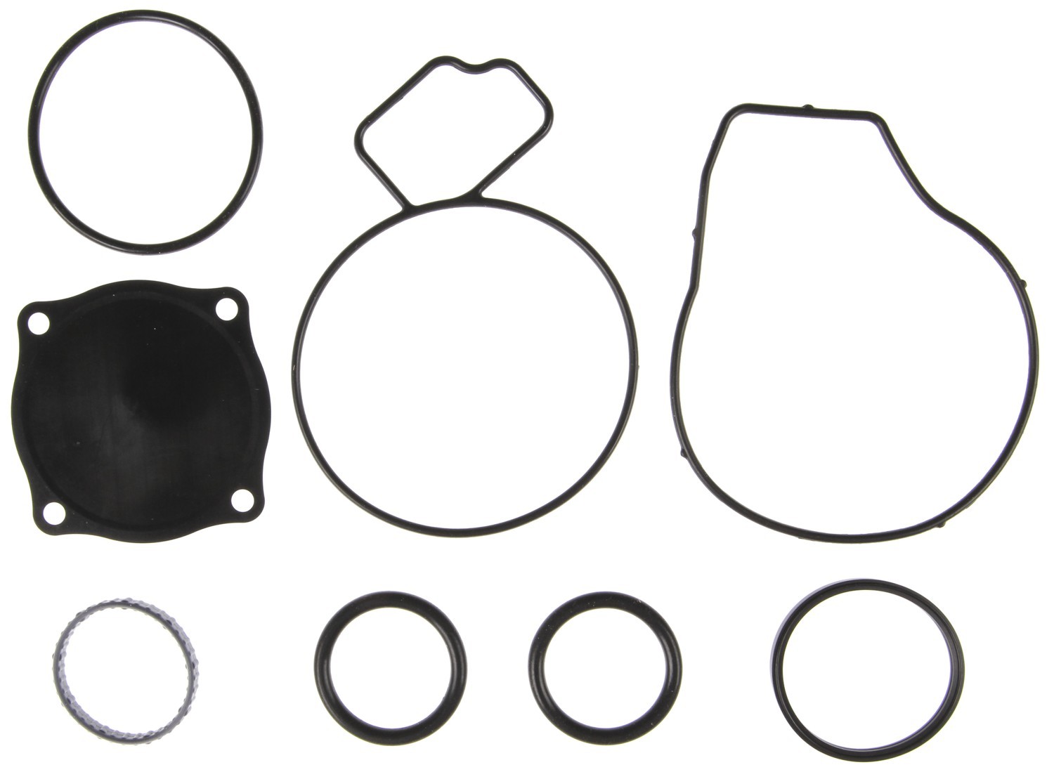 Engine Water Pump Gasket