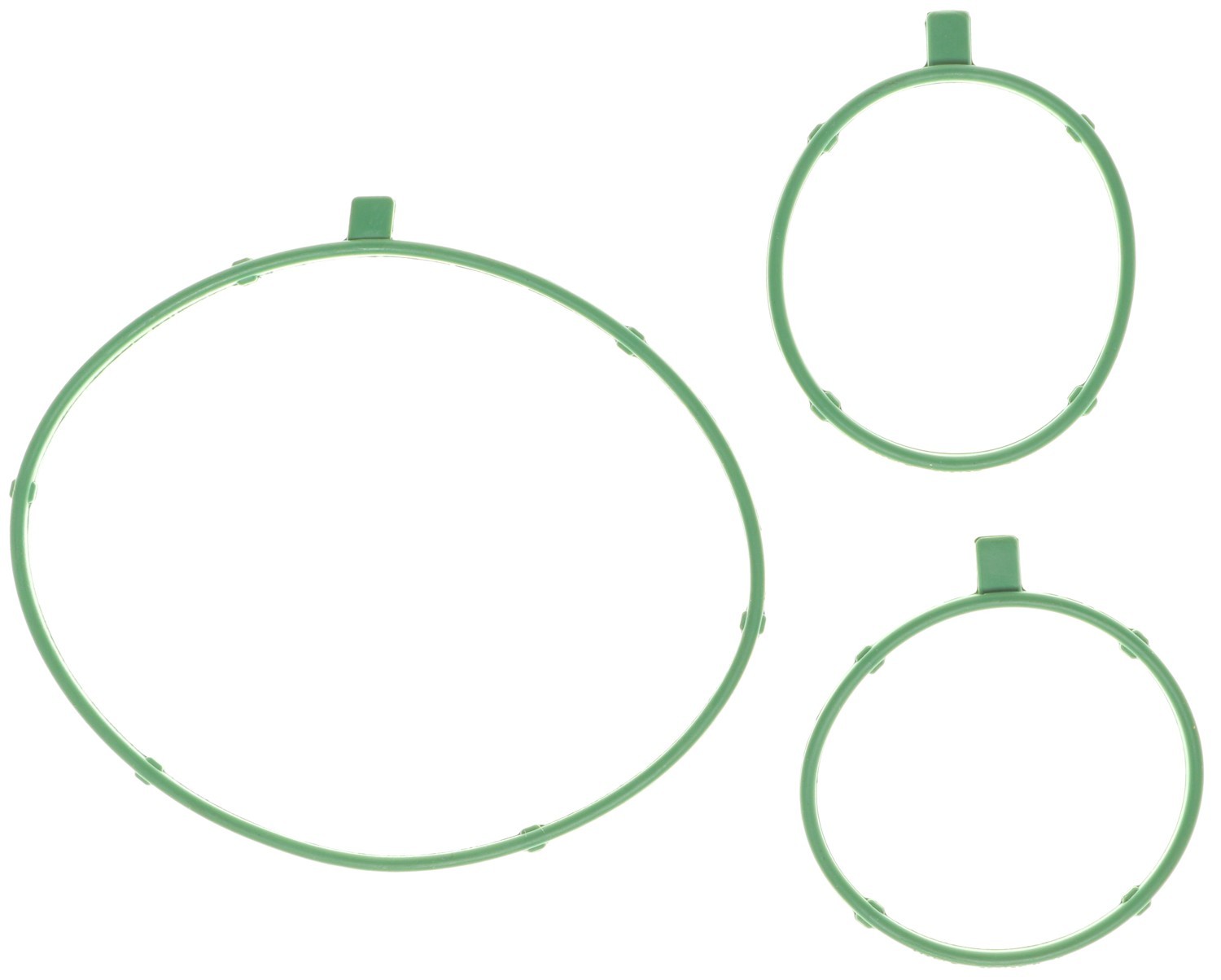 Engine Water Pump Gasket