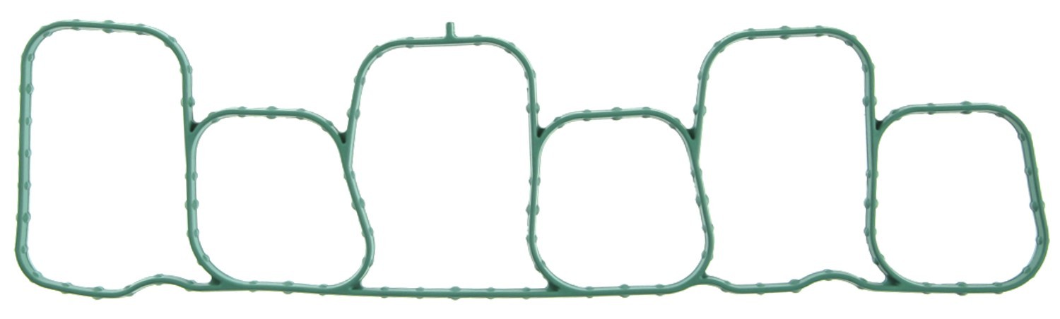 Fuel Injection Plenum Gasket