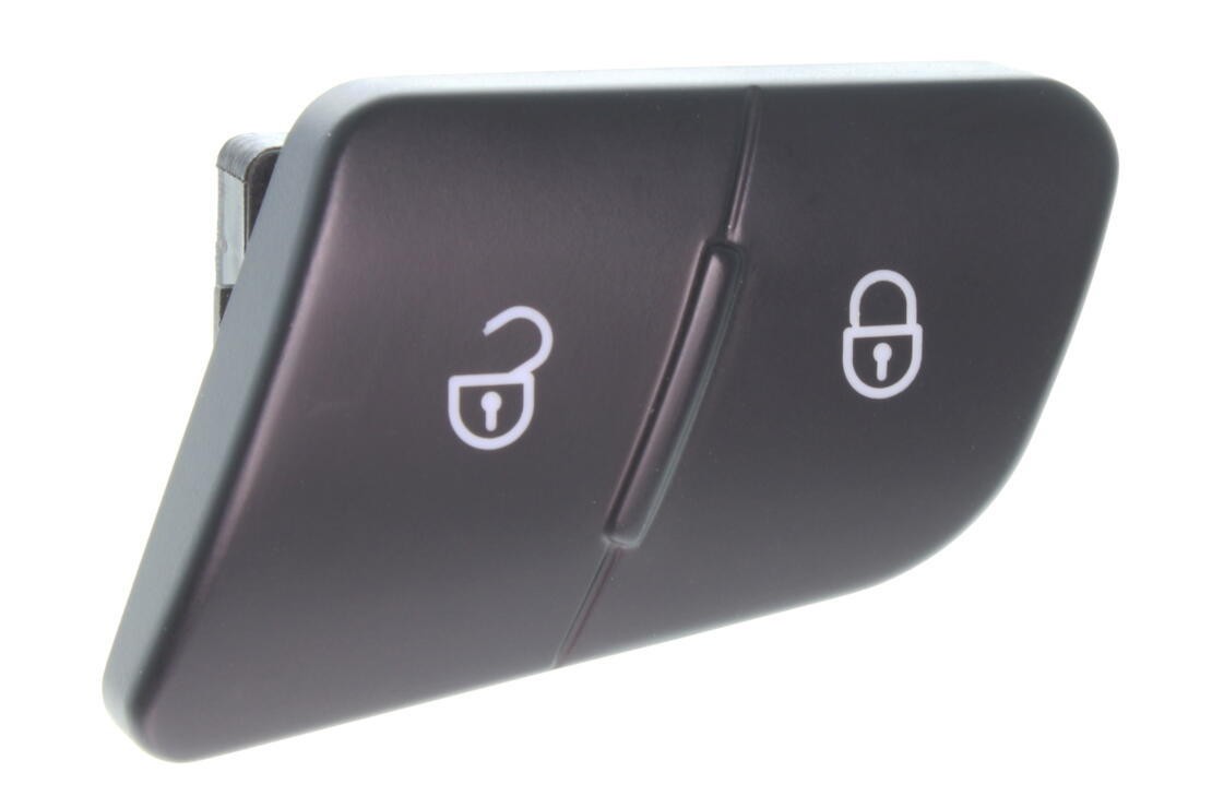 Switch, door lock system