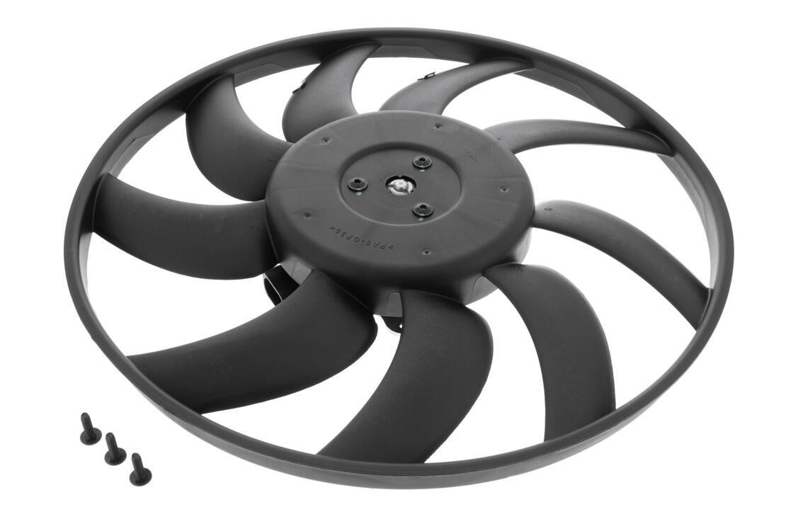 Fan, radiator