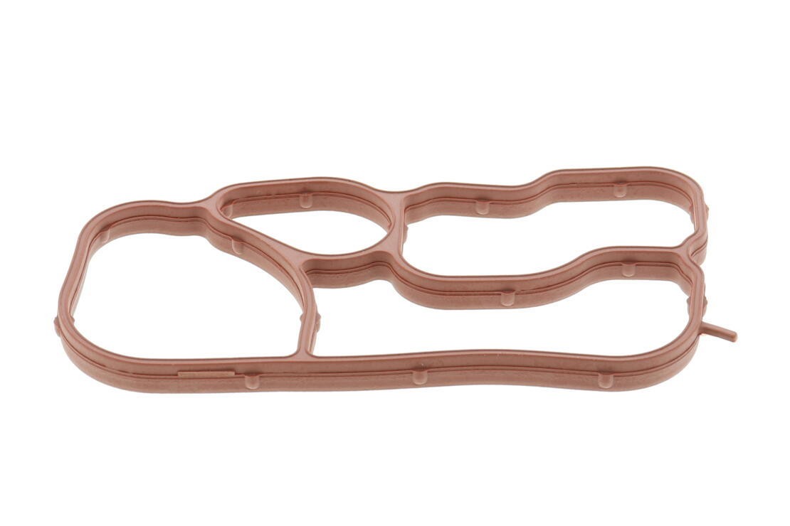 Gasket, oil cooler