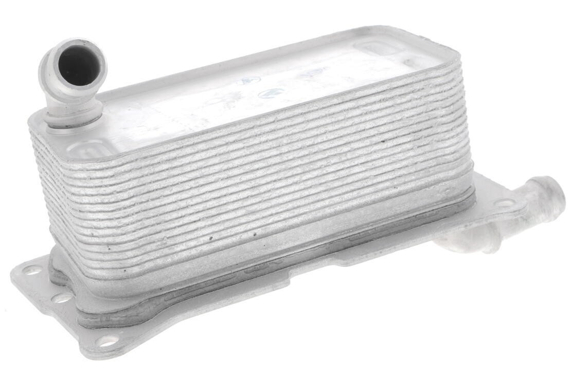 Oil Cooler, automatic transmission