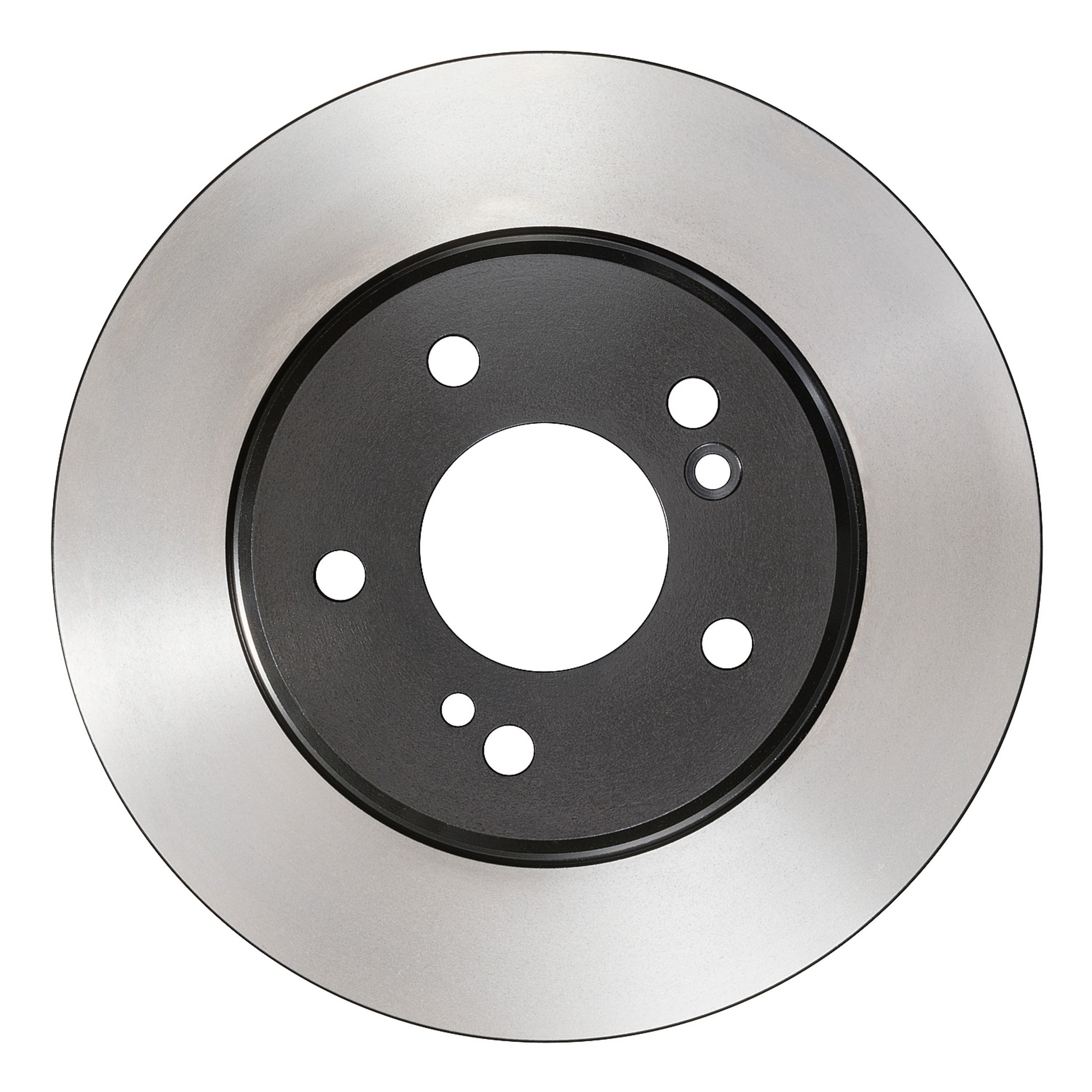 Rear Disc Brake Rotor