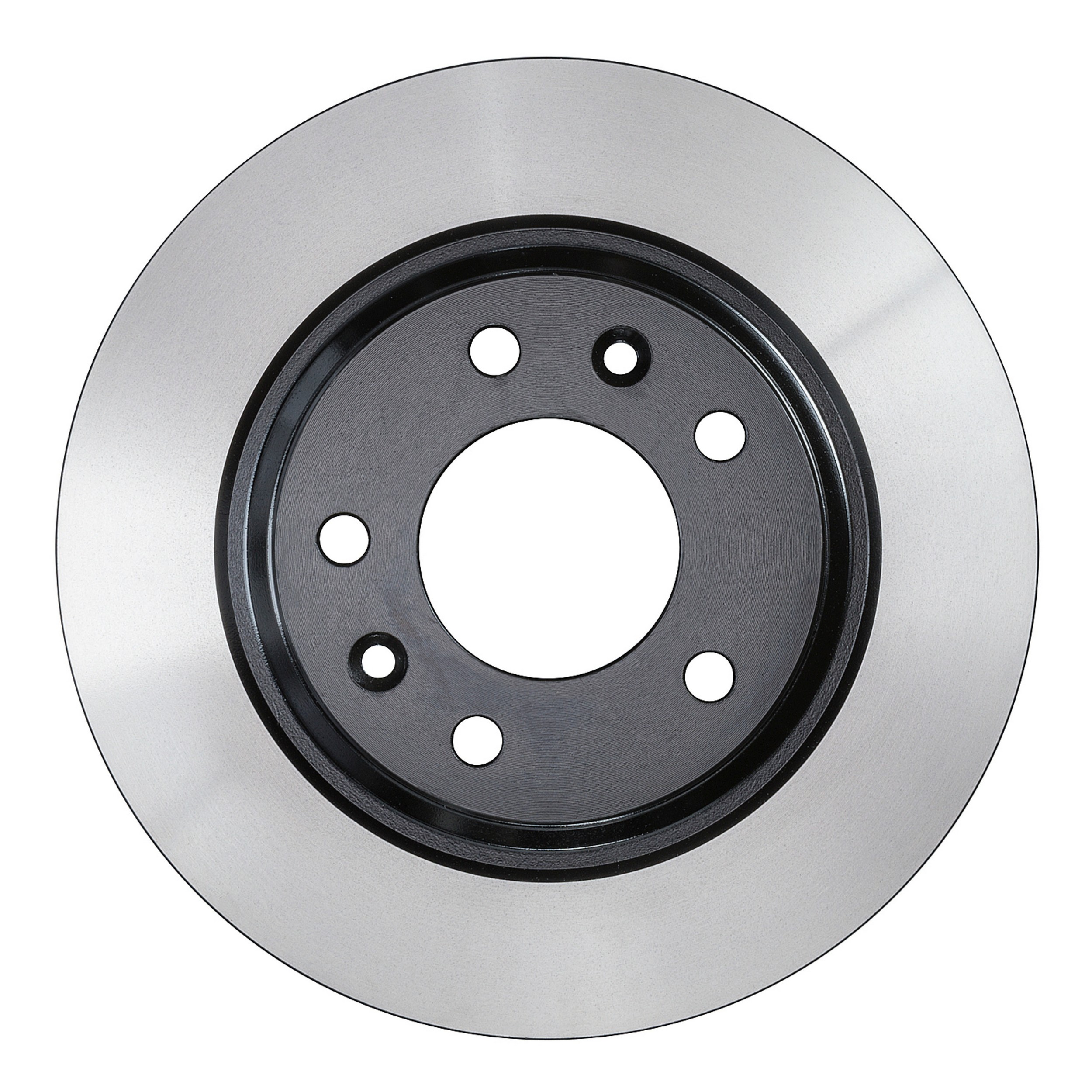 Rear Disc Brake Rotor
