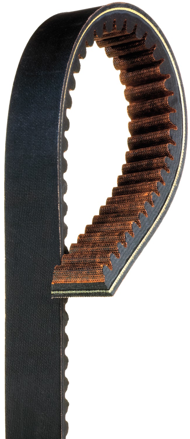 G-Force Workhorse Continuously Variable Transmission (CVT) Belt
