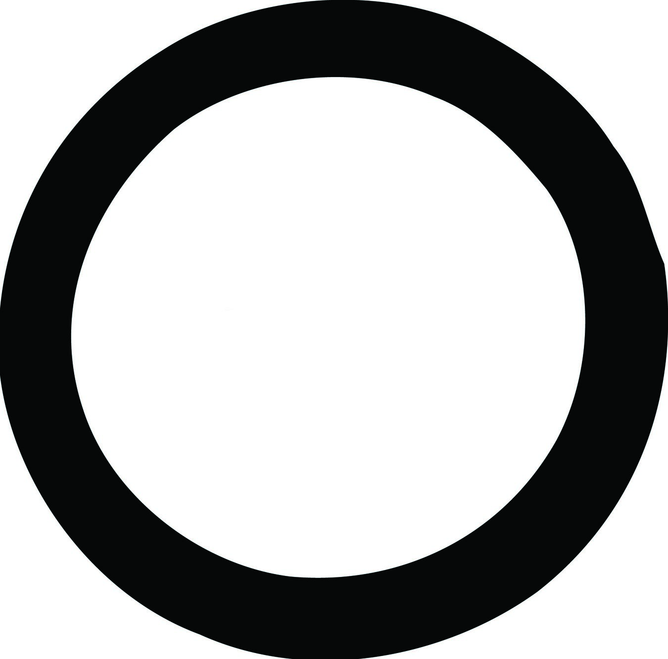 Engine Coolant Thermostat Seal