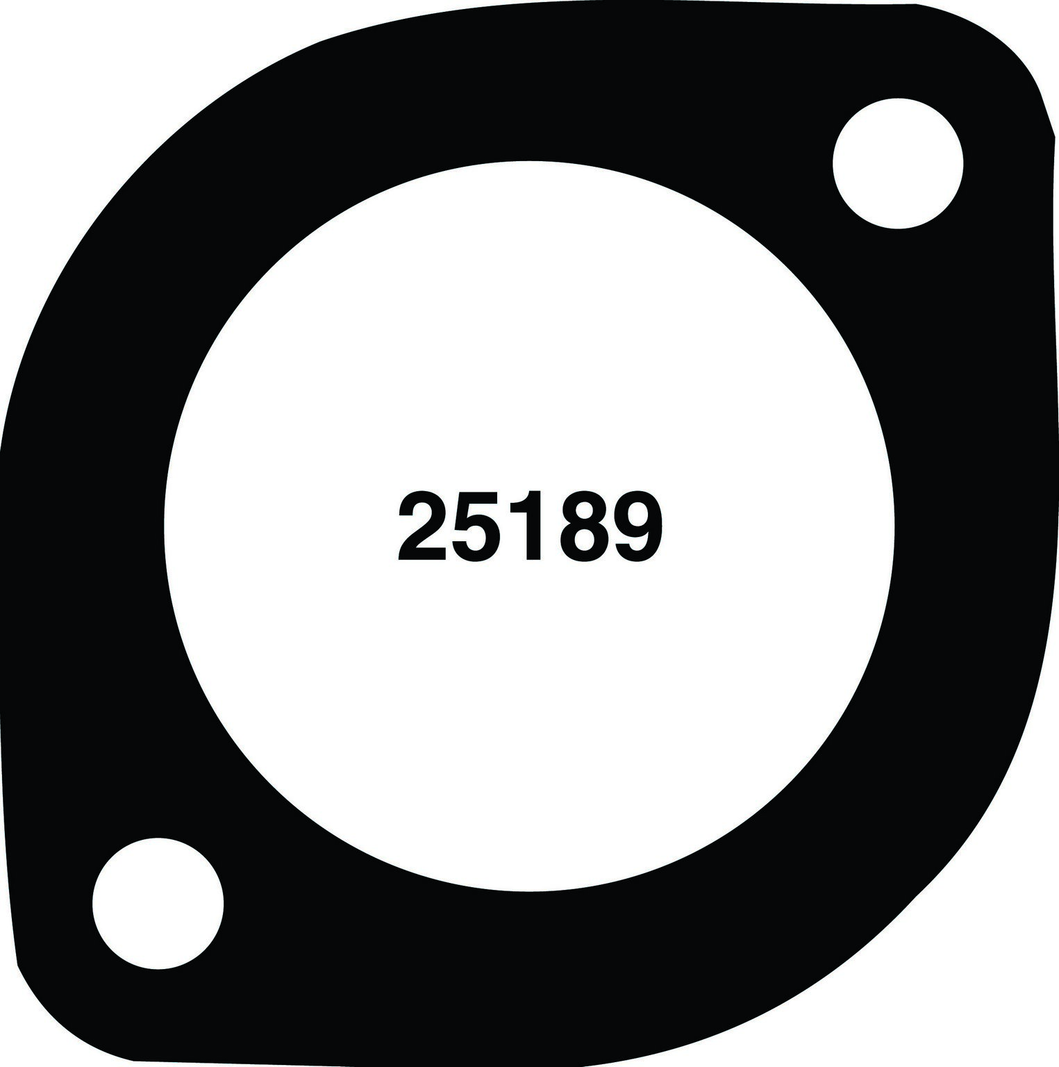 Engine Coolant Thermostat Gasket