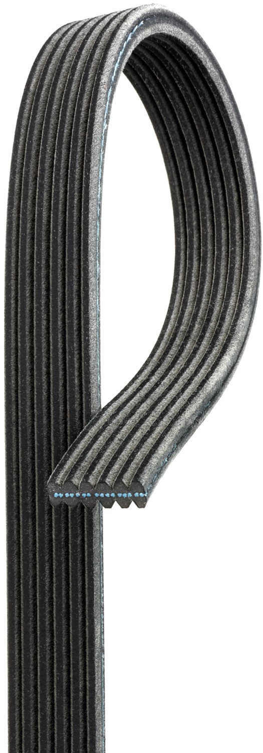 Belt and Hose