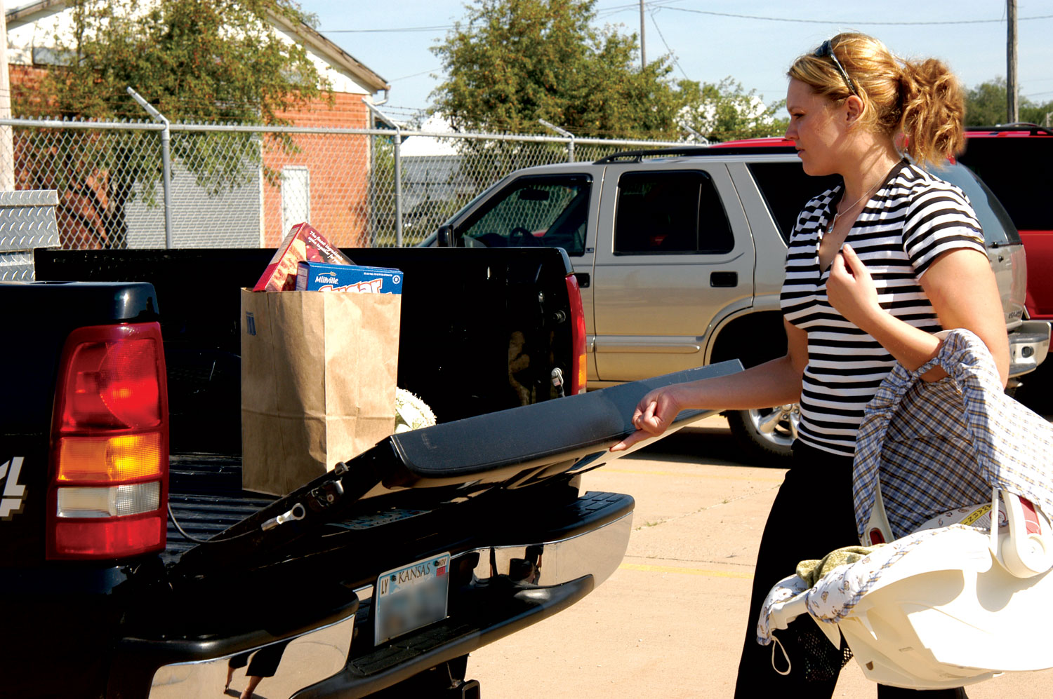 Tailgate EasyLift Torsion Bar by Hoppy