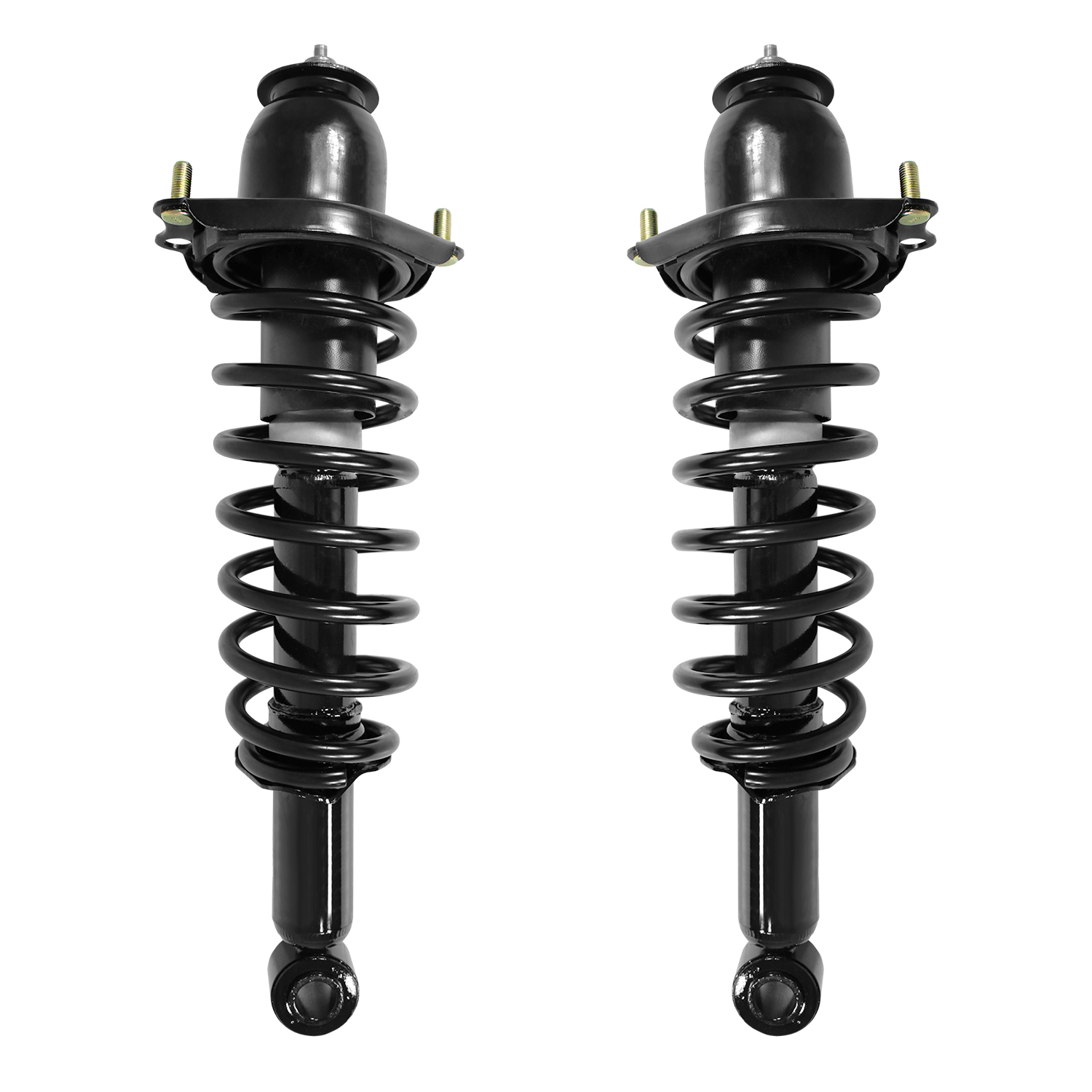Unity Automotive Rear Complete Strut Assemblies - 2-15063-15064-001