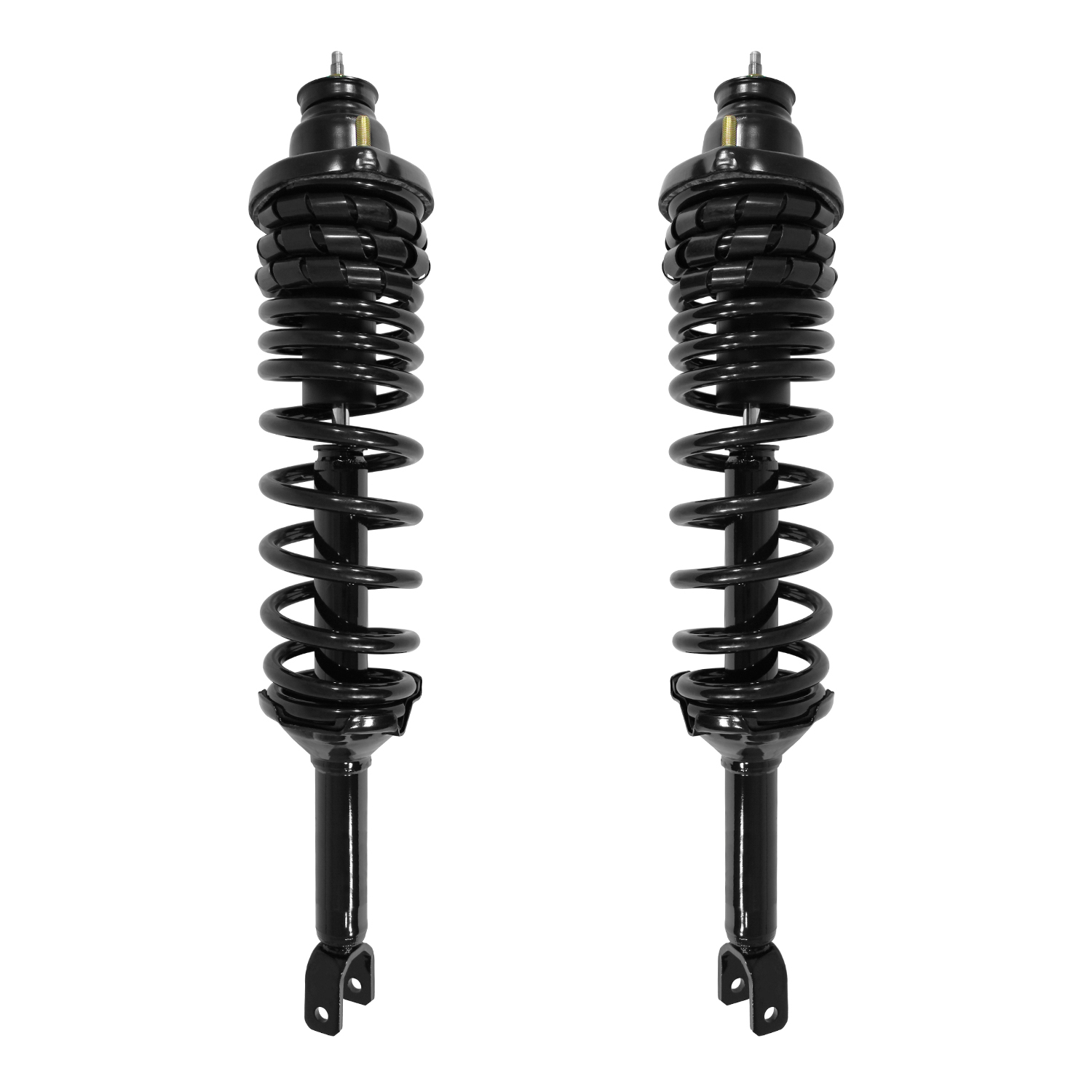 Unity Automotive Rear Complete Strut Assemblies - 2-15141-15142-001