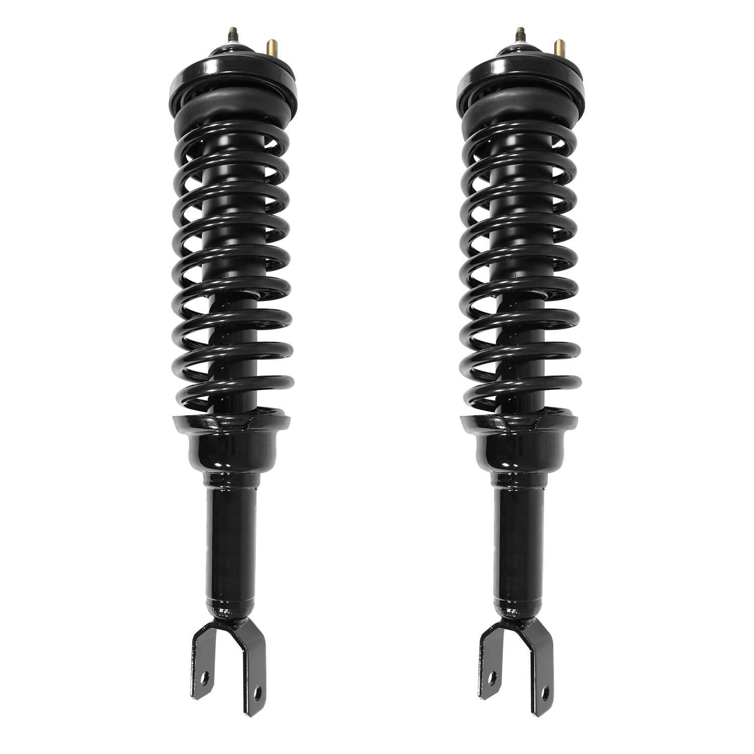 Unity Automotive Rear Complete Strut Assemblies - 2-15220-001