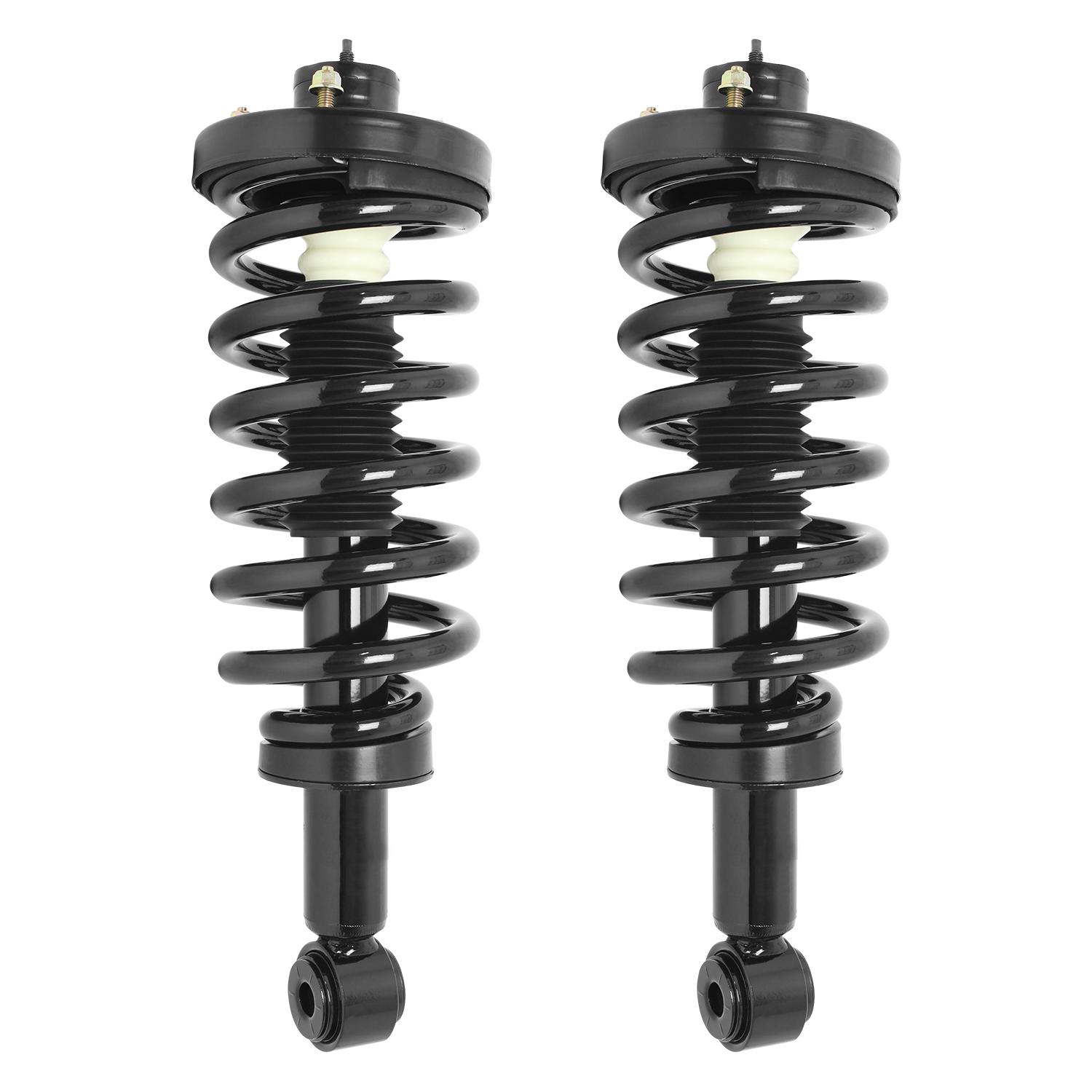 Unity Automotive Rear Complete Strut Assemblies - 65080C