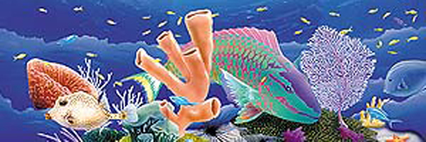 Coral Reef Rear Window Decal - Size:66 x 20