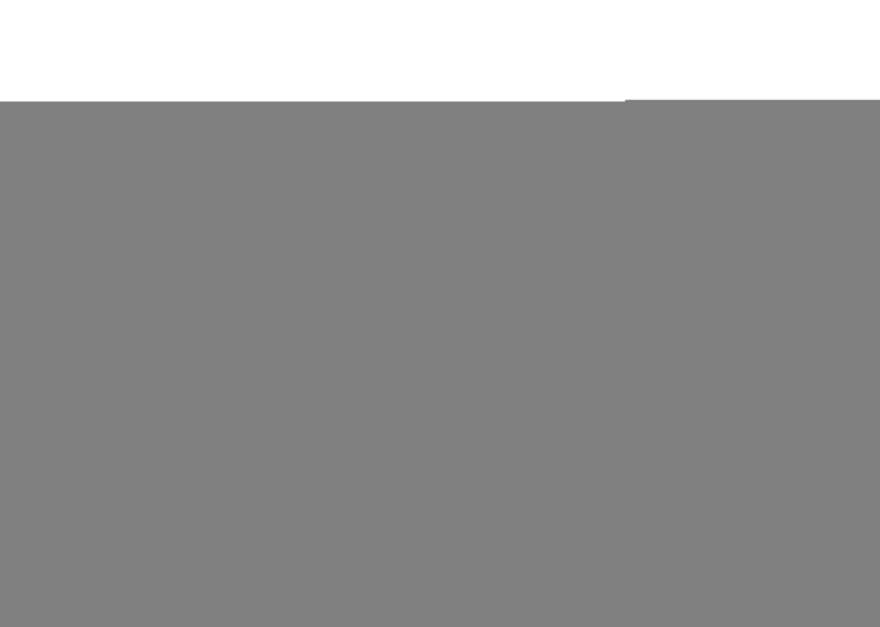 Whiteline Plus 3/08+ Dodge Challenger / 11/05+ Charger Steering Rack & Pinion Mount