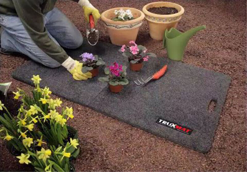 Photo - lifestyle view