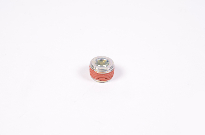 Radium Engineering 3/8in NPT Plug