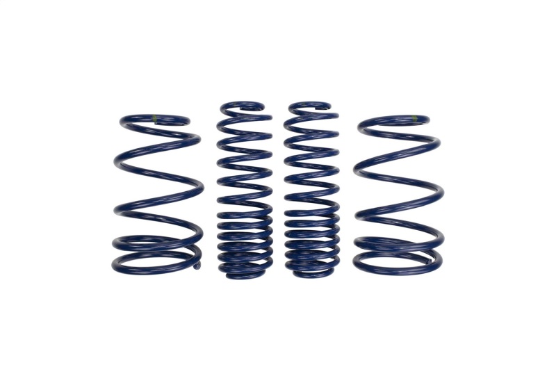 Ford Racing 2007-2014 Mustang Shelby GT500 Springs