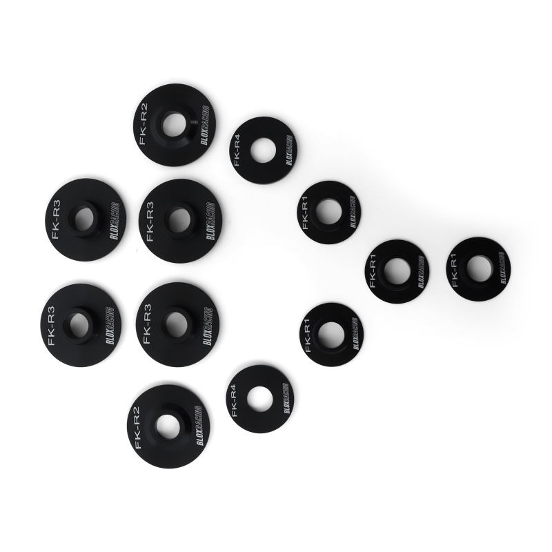 BLOX Racing 16-21 FK Civic - Rear - 12 Pieces Subframe Hard Collar Kit