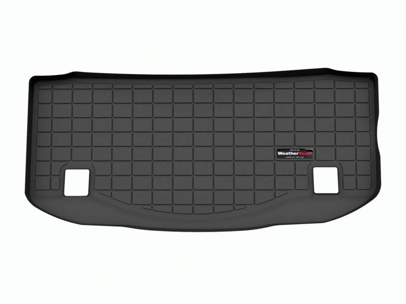 WeatherTech 2021 Mercedes-Benz AMG GT Black Series Coupe Cargo Liners - Black