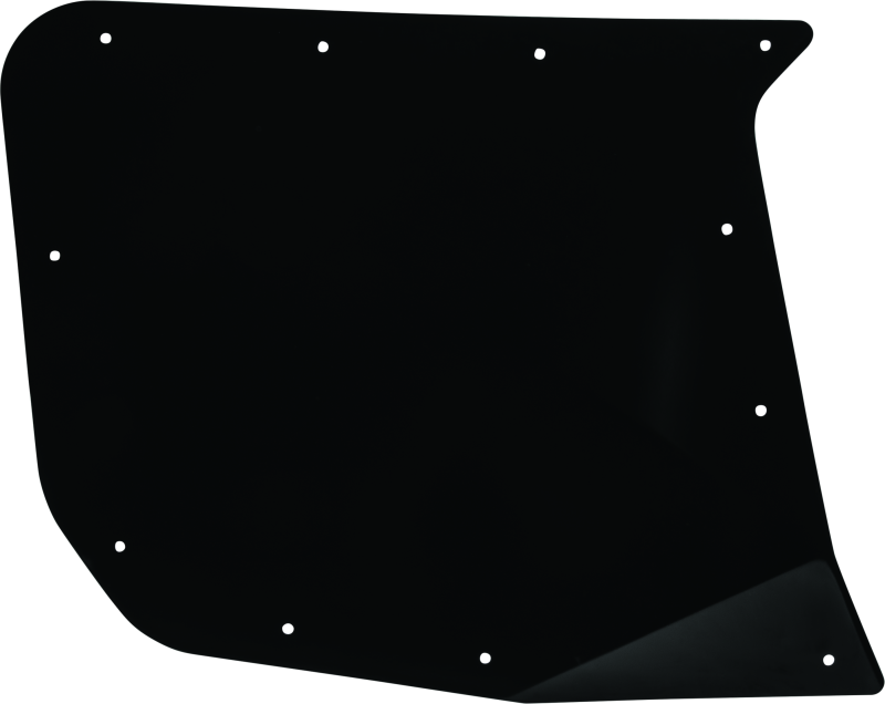 DragonFire Racing Rear Driver Side Door Skin For 521065