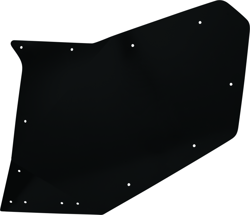 DragonFire Racing Rear Passenger Door Skin For 522137