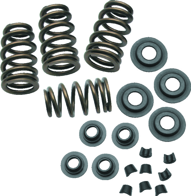 S&S Cycle 84-04 BT/86-03 Sportster Models .650in Lift Sidewinder Valve Spring Kit