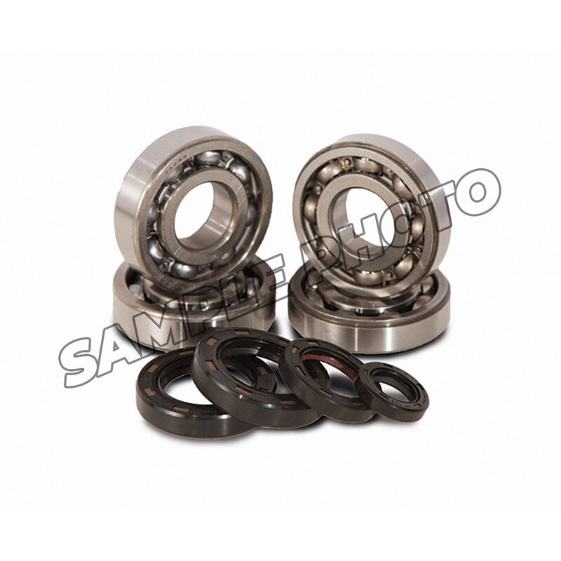 Hot Rods 96-02 RM 250 Main Bearing & Seal Kit