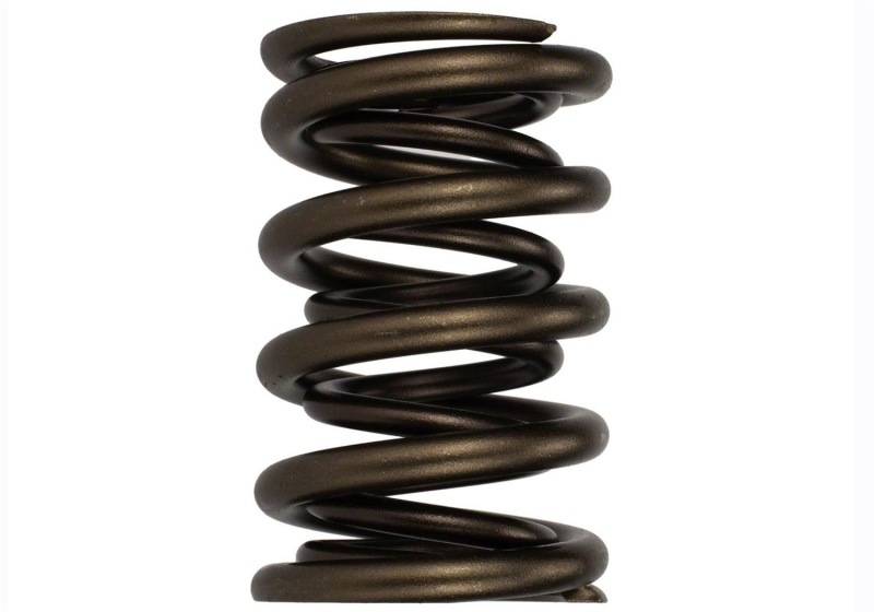 Ford Racing Replacement Hydraulic Roller Valve Spring - Single (For M-6049-SCJA)