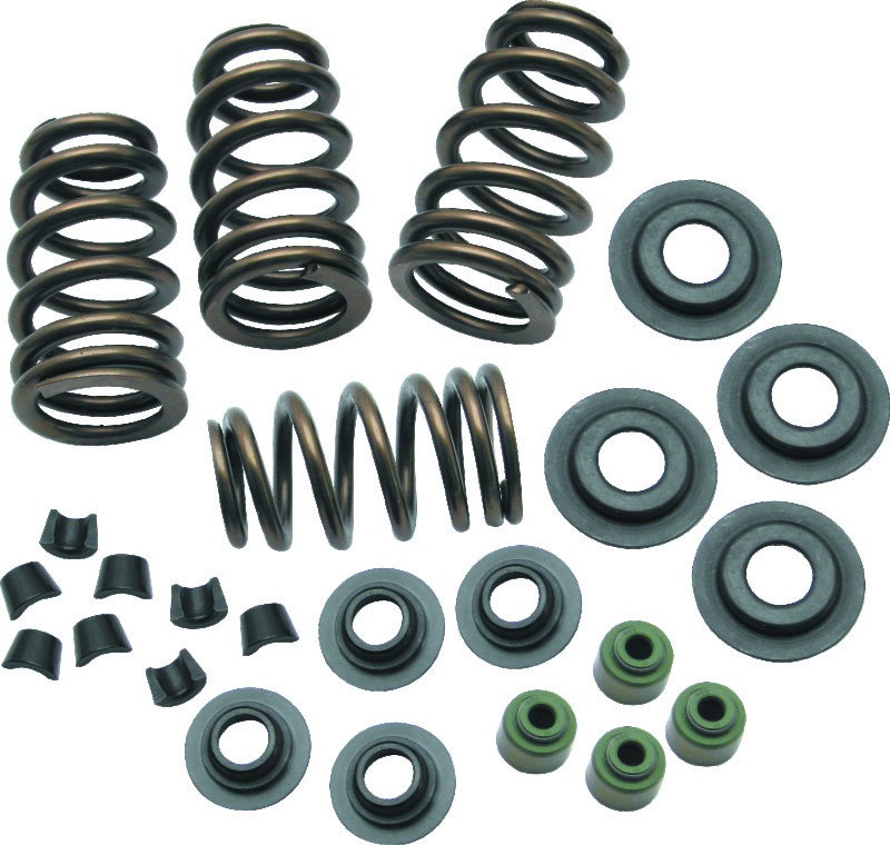 S&S Cycle 04-19 XL Valve Spring Kit - .650in