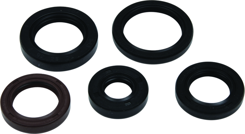 Vertex Gaskets 05-23 Polaris Phoenix 200 Oil Seal Kit