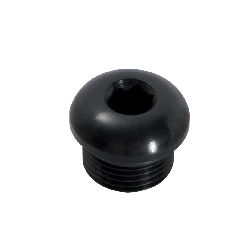 Peterson Fluid Systems Port Plug -12AN Internal Hex
