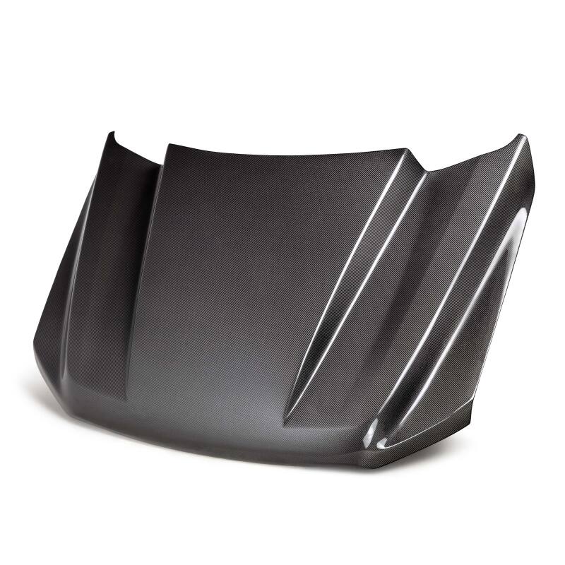 Anderson Composites 21-24 Ford F-150 Type-CJ Carbon Fiber Hood