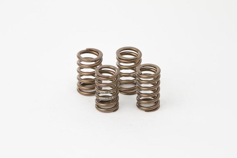 Hot Cams Valve Spring Kit, Boxed, ea, 1