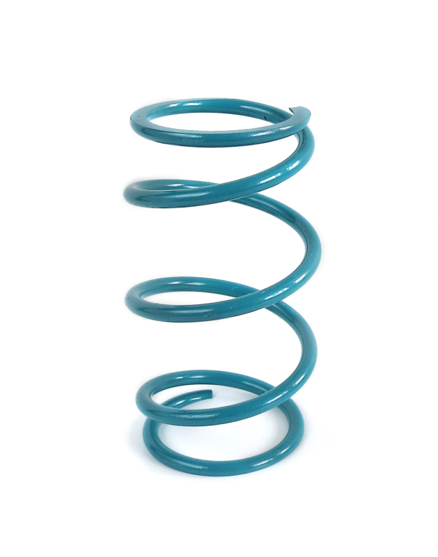 EPI 16-22 Polaris RZR XP Turbo/S/4/ RZR RS1 Secondary Spring Teal
