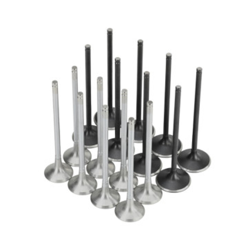 Skunk2 Honda K20C1 Alpha Series Intake & Exhaust Valve Set (Standard Compression)