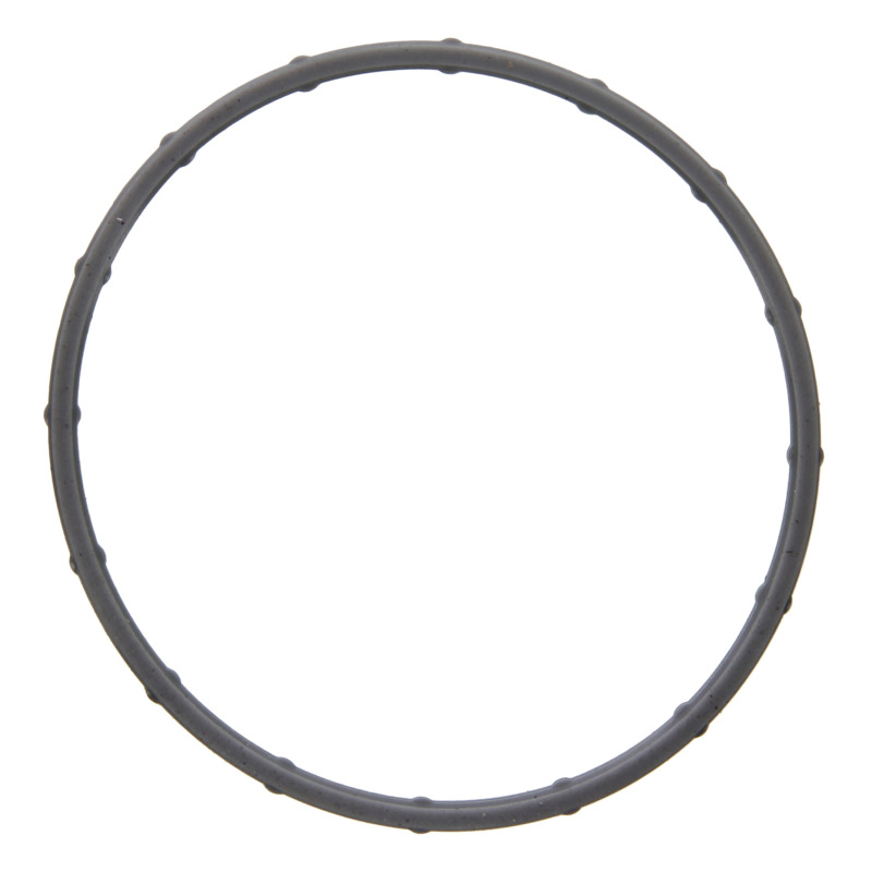 Fel-Pro Hyundai Sonata 61613 Fuel Injection Throttle Body Mounting Gasket