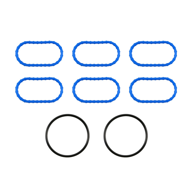 Fel-Pro Jaguar X-Type MS 96494 Fuel Injection Plenum Gasket Set